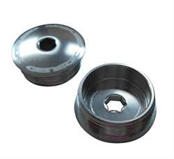 Genetic Heritage Cap silver